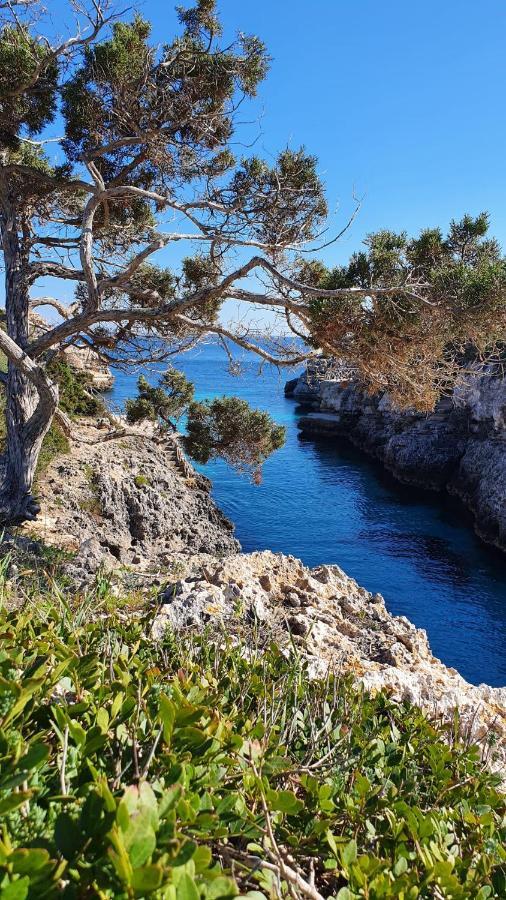 Villa Sirena Cala'N Blanes  Εξωτερικό φωτογραφία